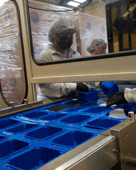 empaques termoformados de pvc y pet para alimentos